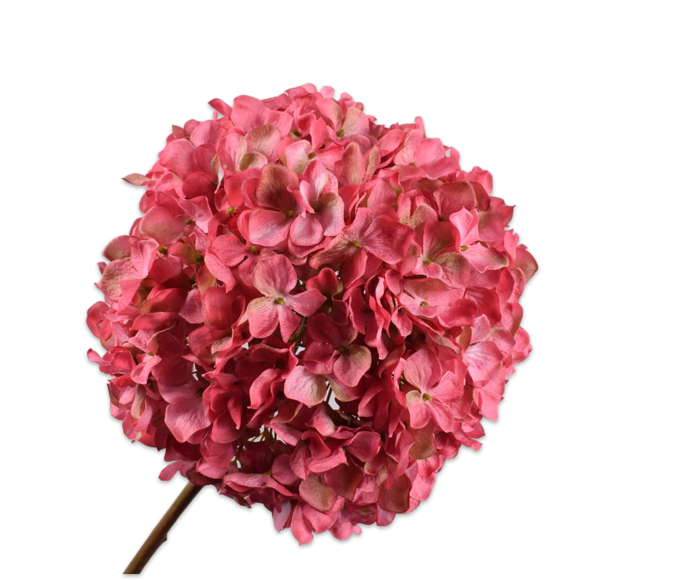 Hortensia tak roze 79 cm