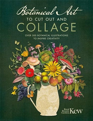 Boek Botanical art to cut out and collage