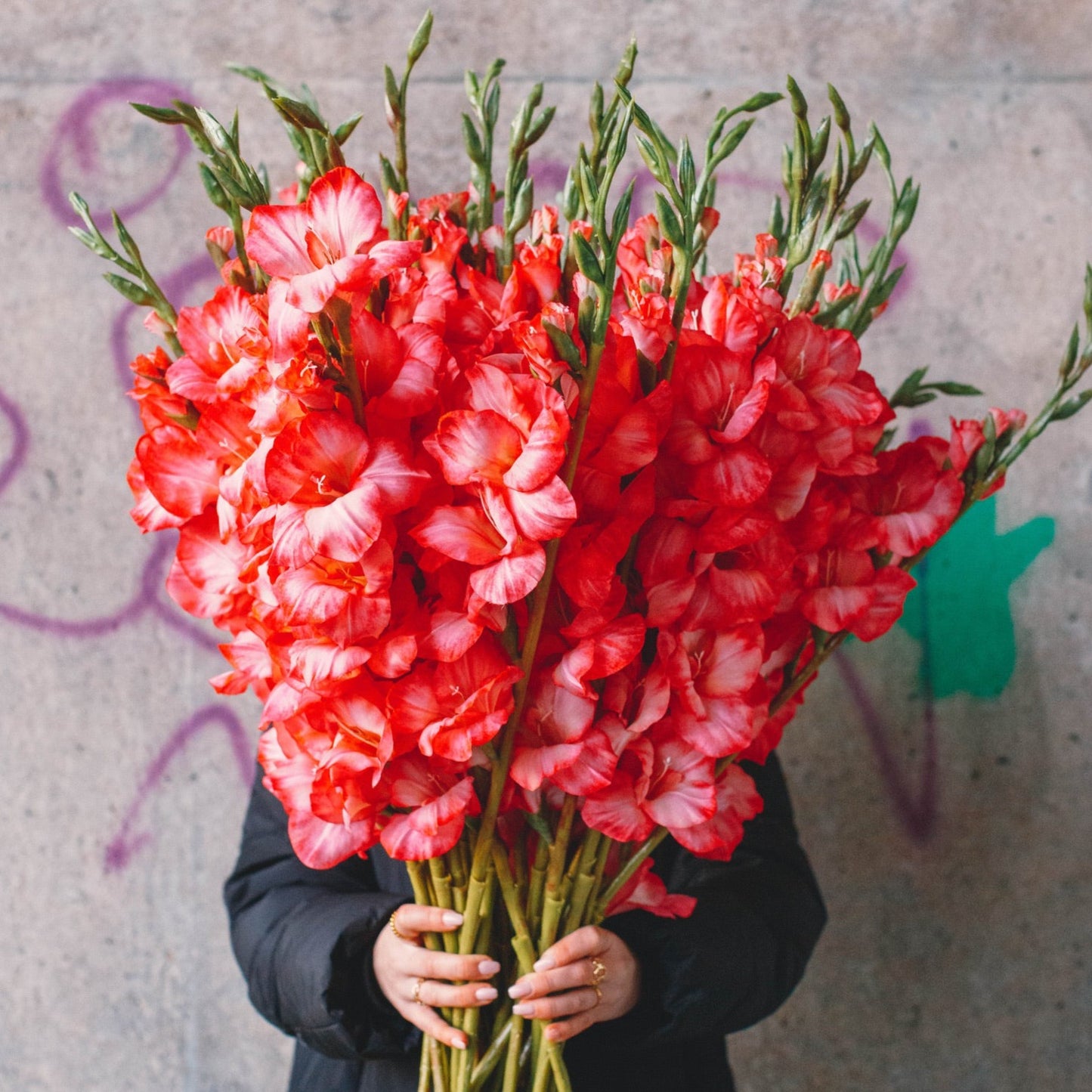 Artificial gladiool tak roze