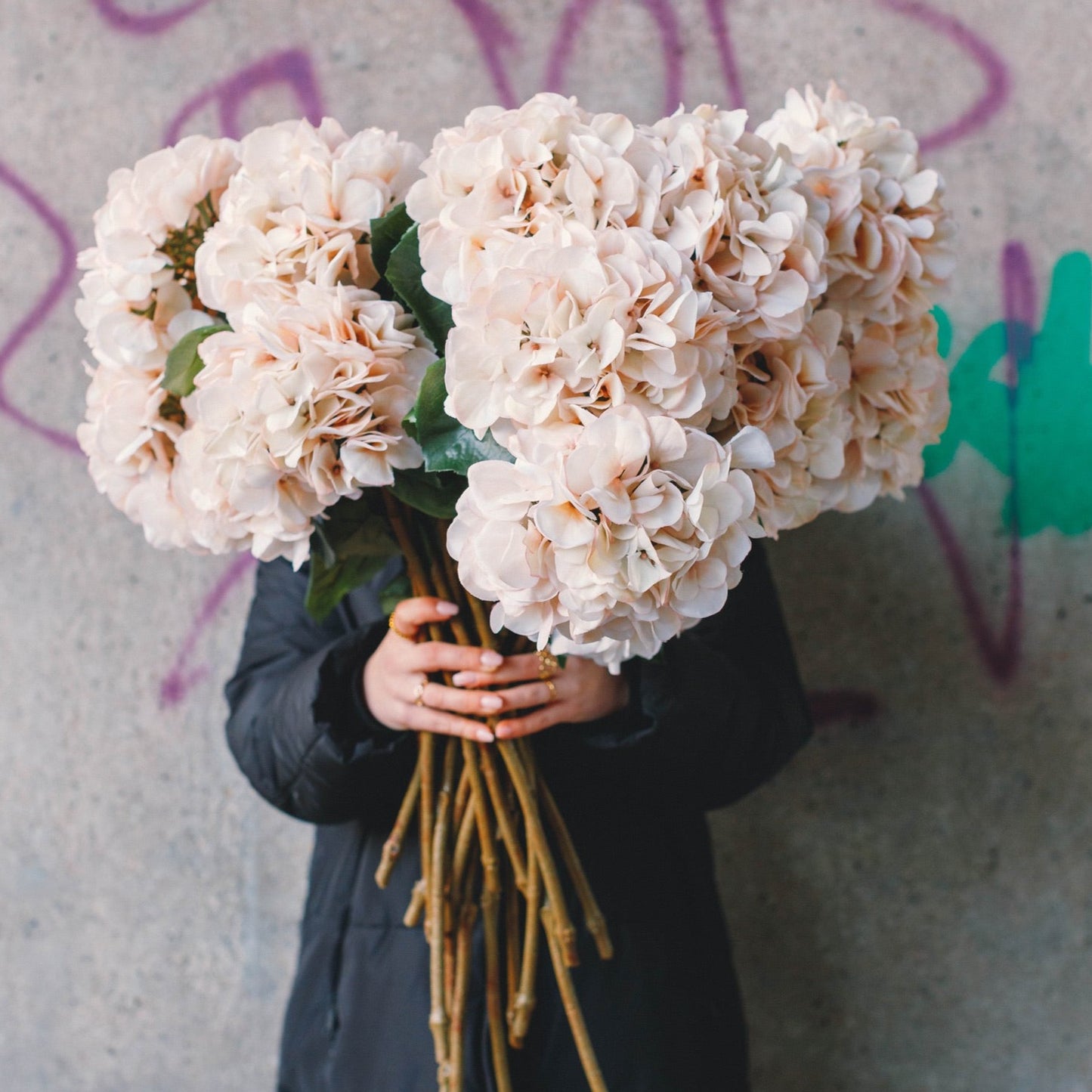 Artificial hortensia creme