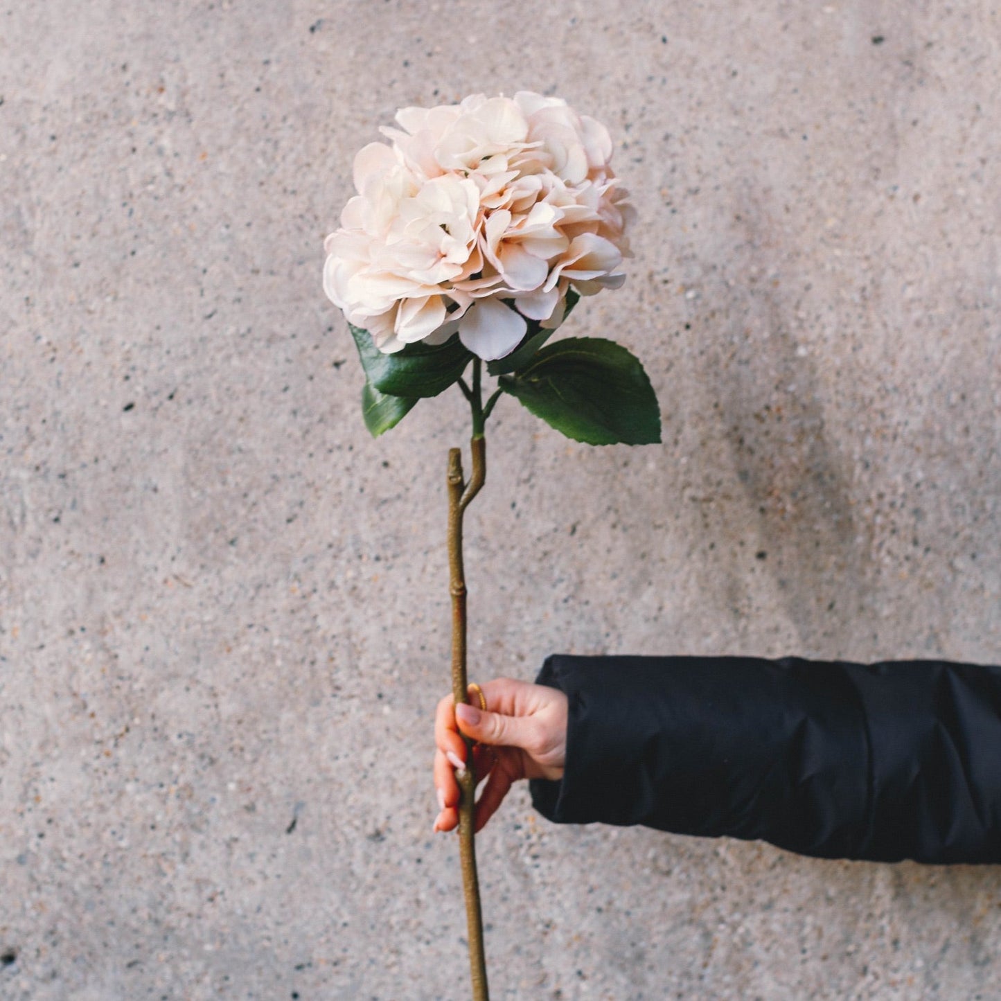 Artificial hortensia creme