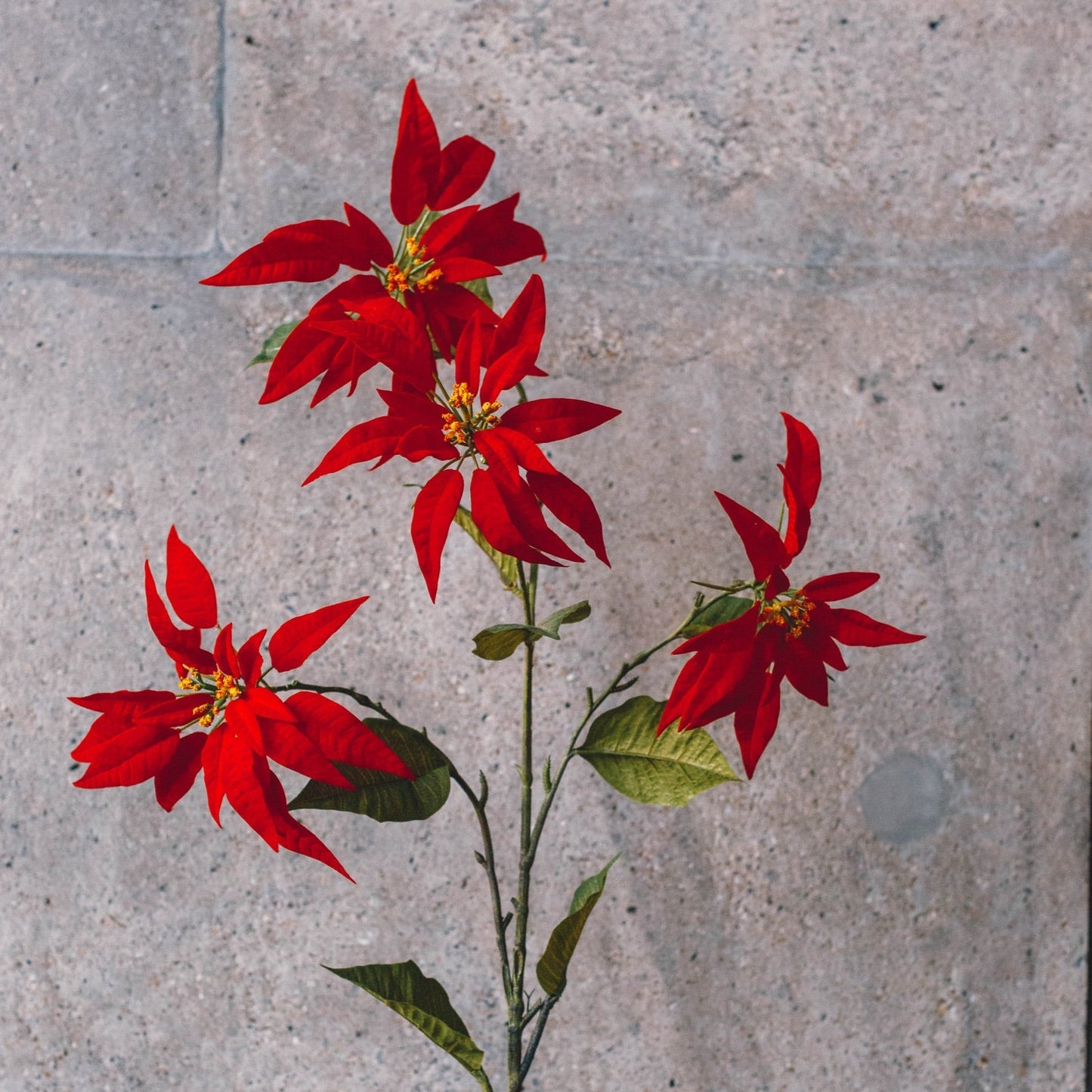 Artificial kerstster rood 143cm