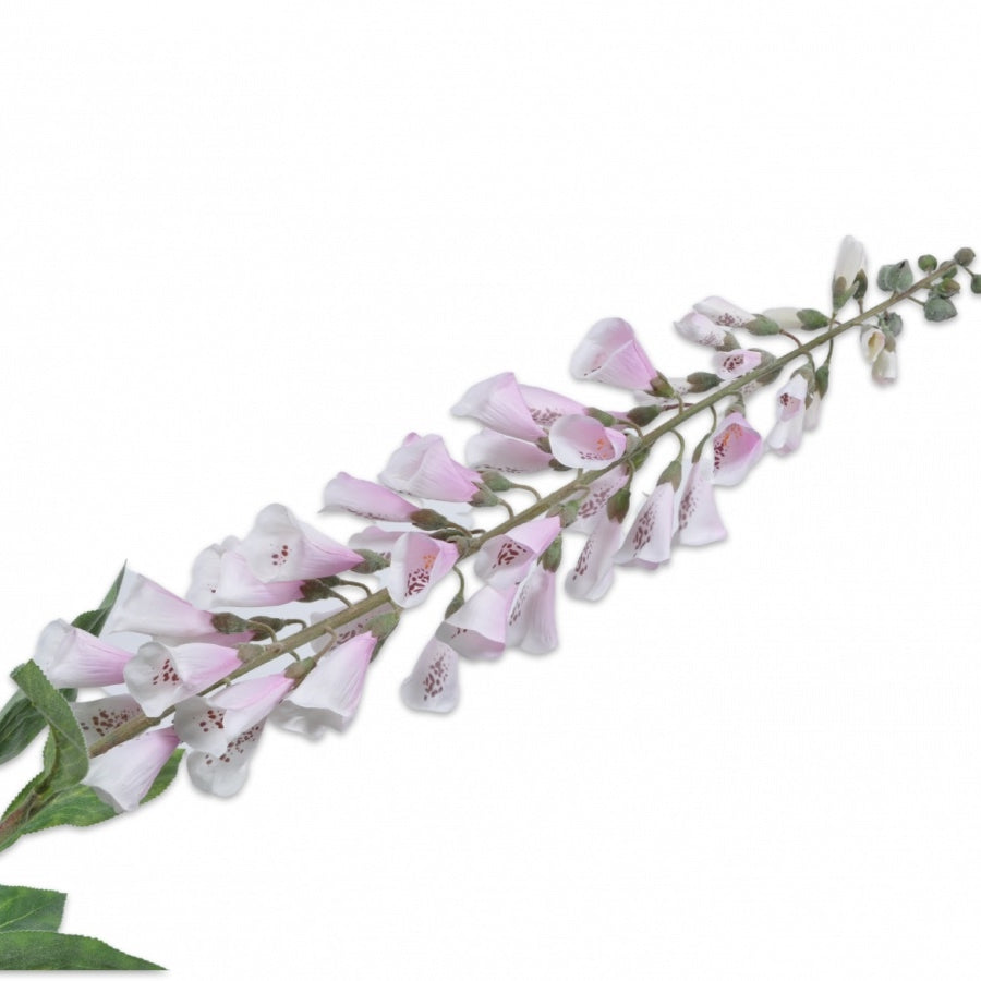 DIGITALIS STEEL ROZE LT 129 cm