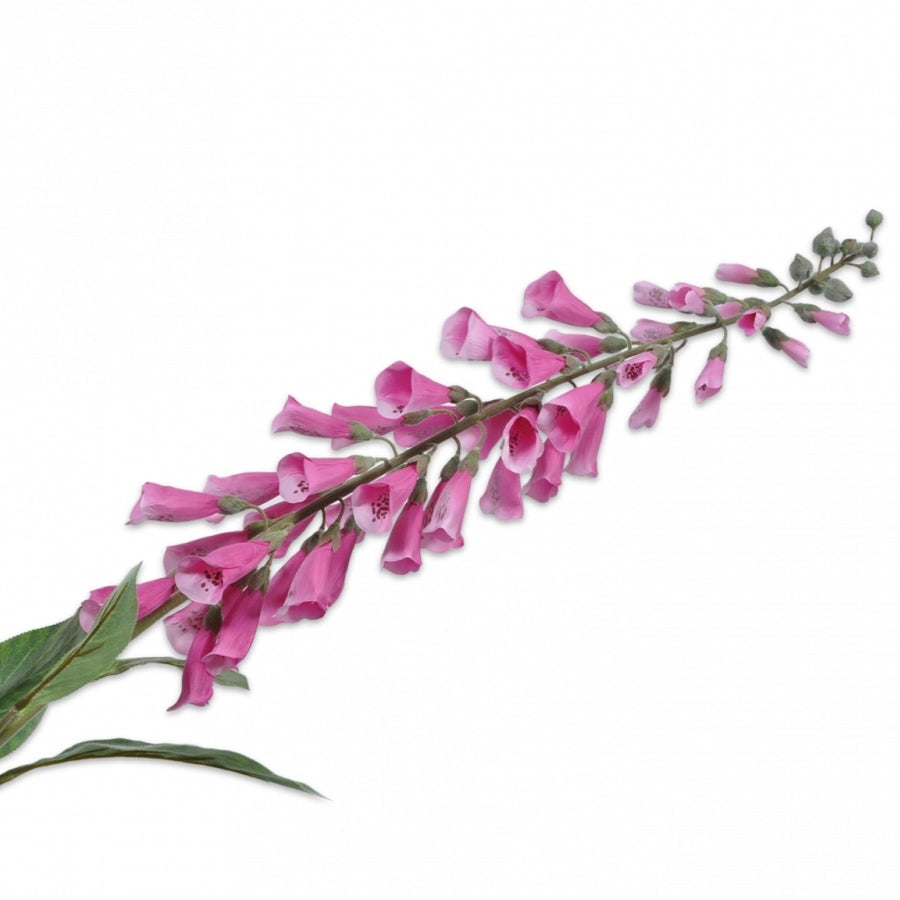 DIGITALIS STEEL ROZE 129 cm