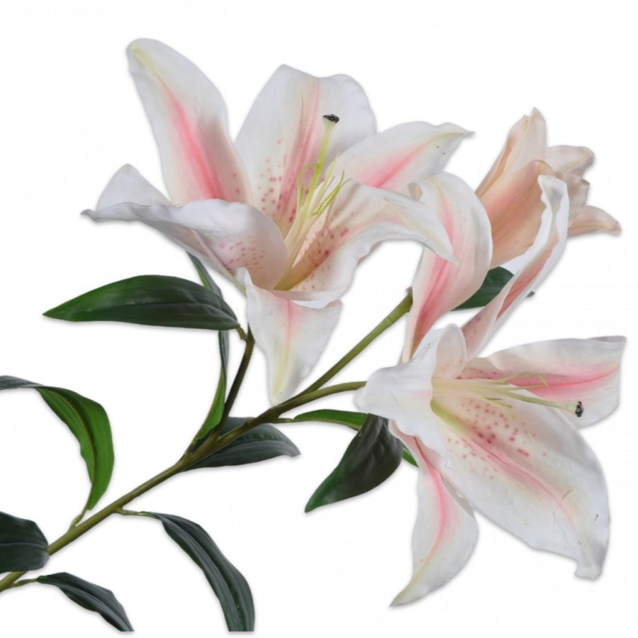 LELIE STEEL ROZE LT 100 cm