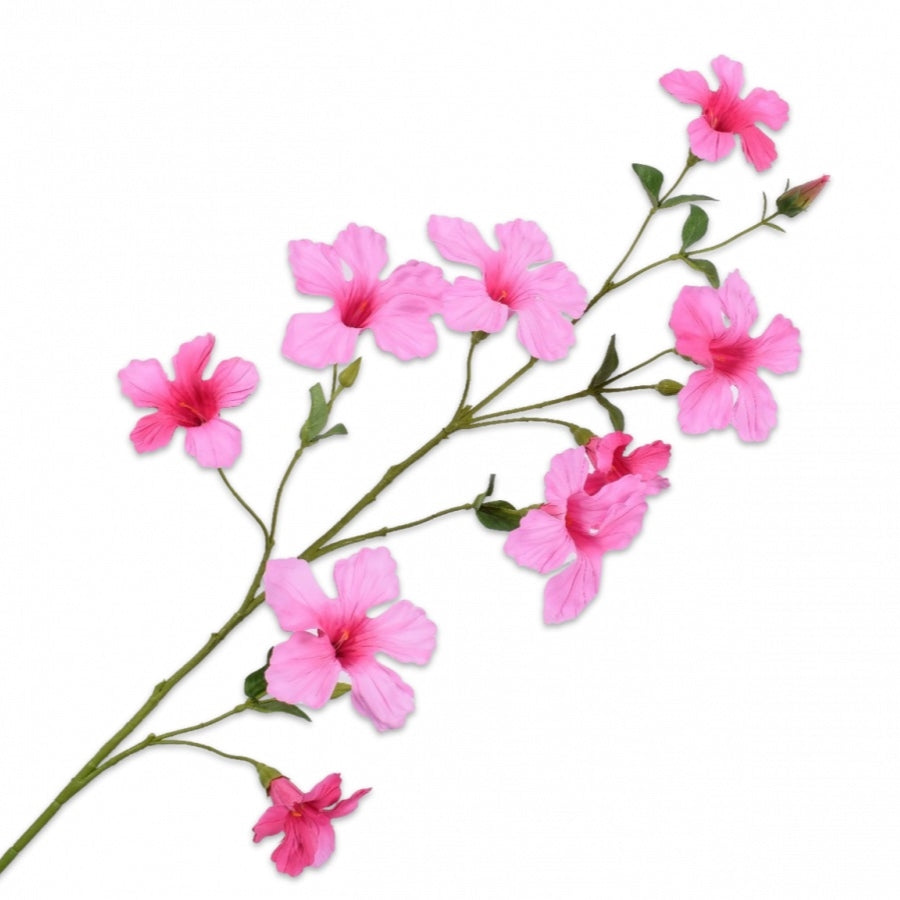 HIBISCUS TAK ROZE 114 cm
