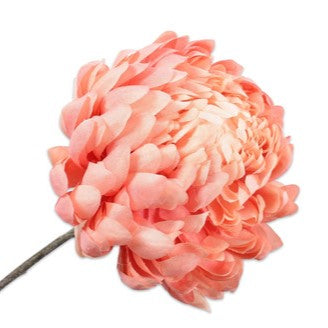 CHRYSANT STEEL PERZIK 64cm