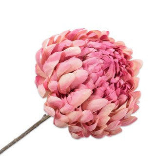 CHRYSANT STEEL LAV LT 64cm