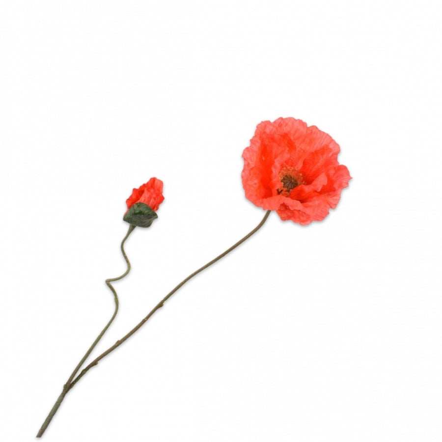 KLAPROOS TAK ORA/RD 75 cm