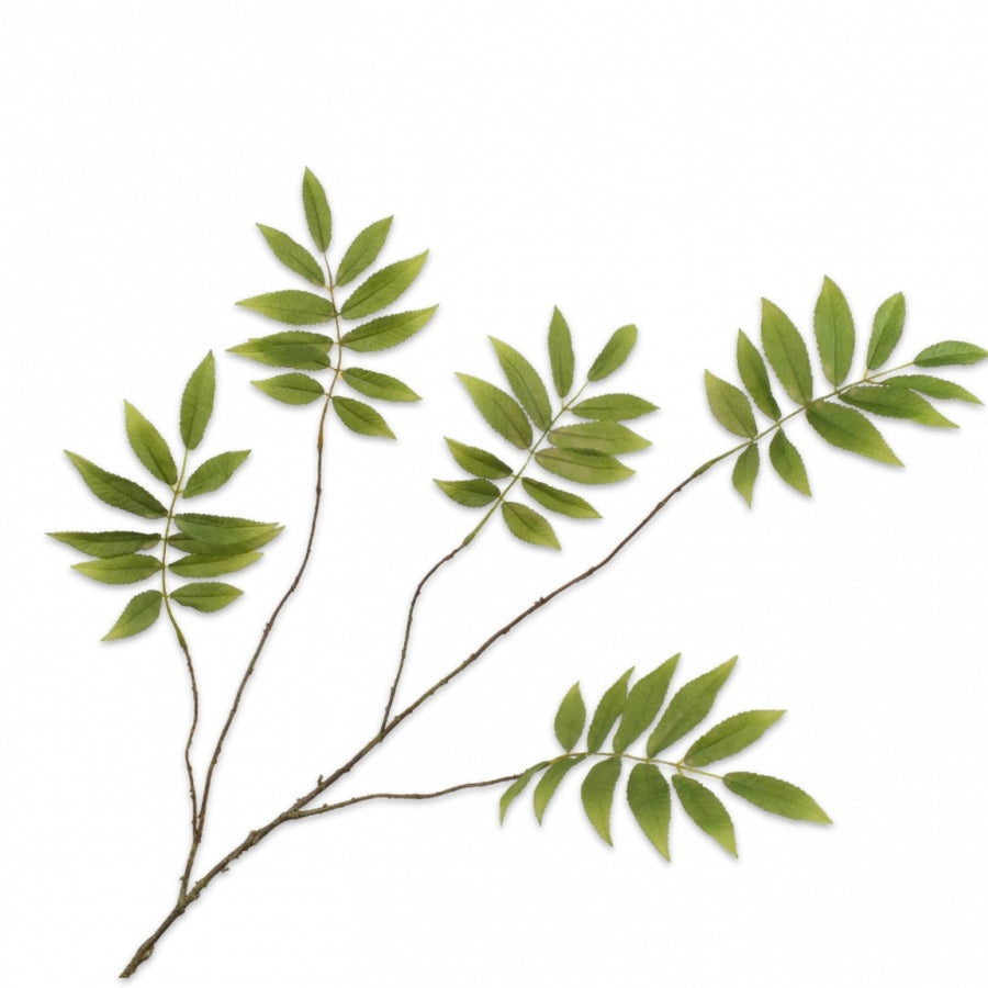 BLADTAK GROEN 107 cm