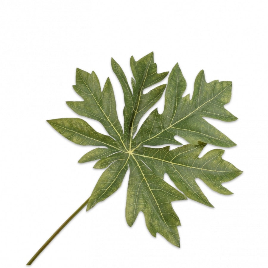BLAD GROEN 70 cm