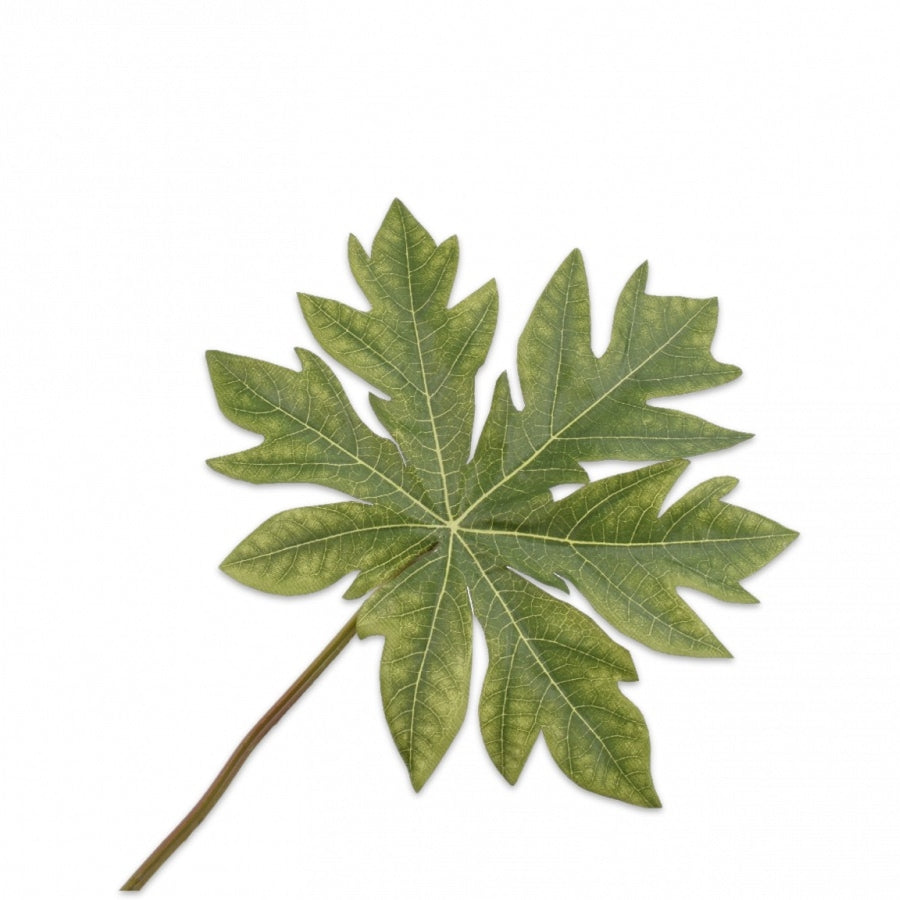 BLAD GROEN 60 cm