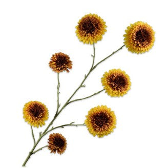 ZONNEBLOEM TAK GL/BRN 138cm