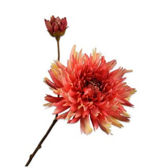 CHRYSANT TAK ORA/GL 78cm