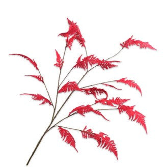 ASPARAGUS TAK ROOD 141cm