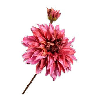 DAHLIA TAK ROZE 78cm