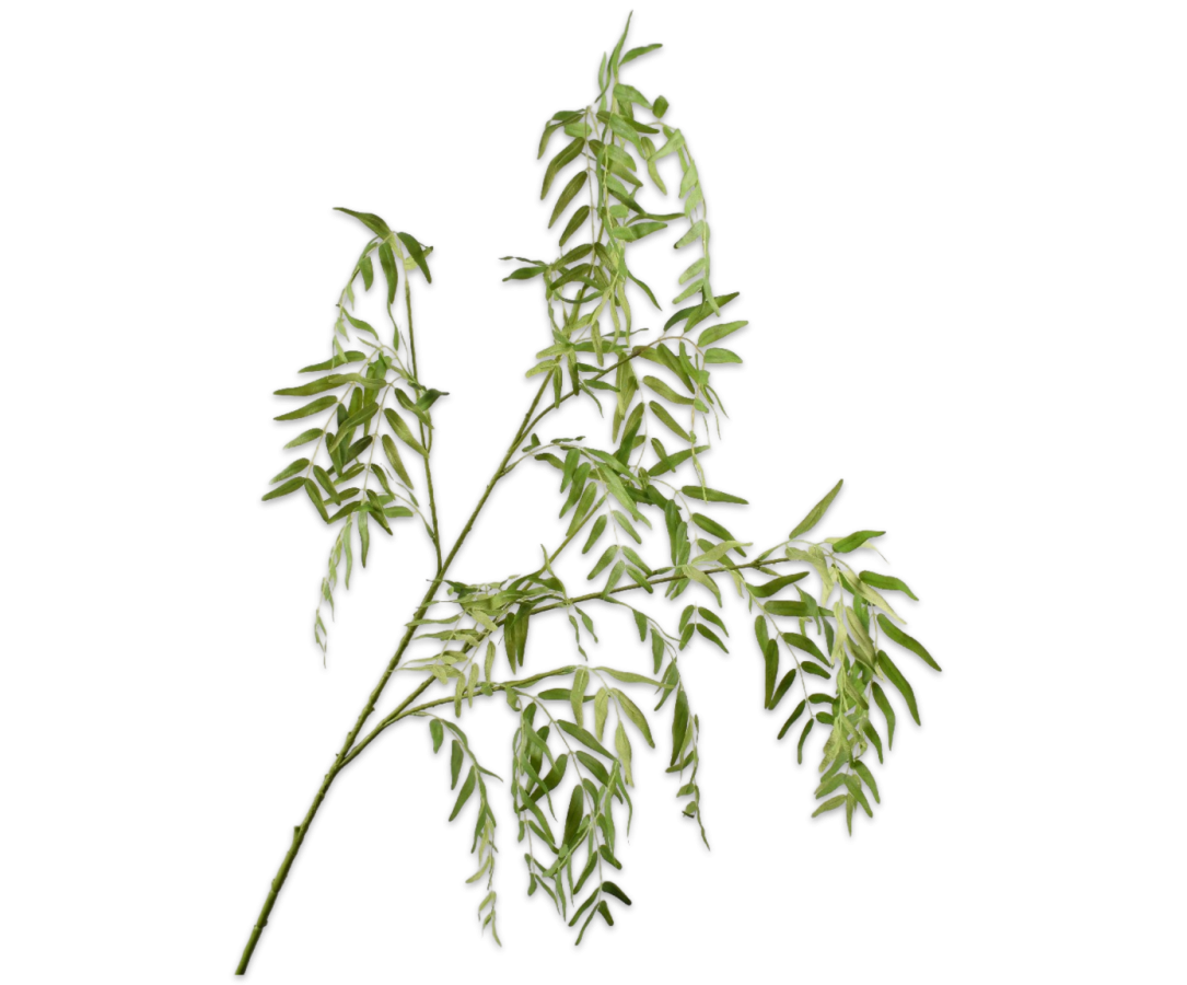WILGENTAK GROEN 129 cm
