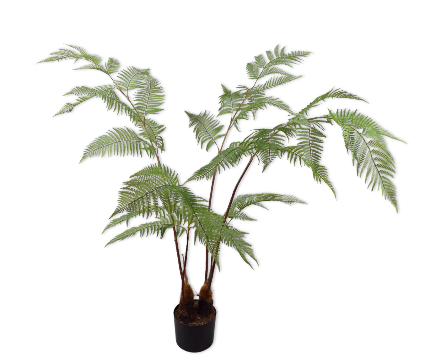 PLANT VAREN GROEN 157 cm
