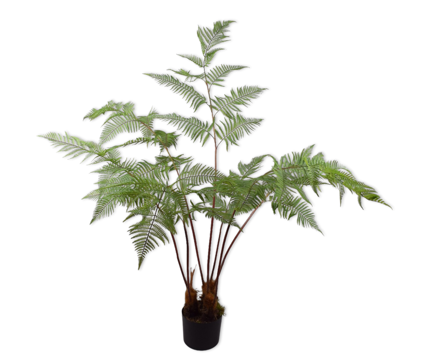PLANT VAREN GROEN MS 157 cm