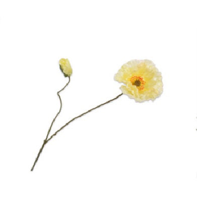 KLAPROOS TAK GEEL 75 cm