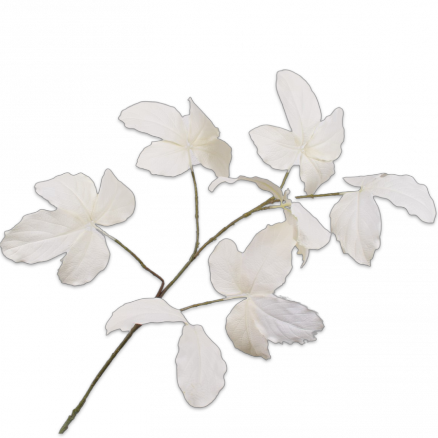 BLADTAK CREME 103cm