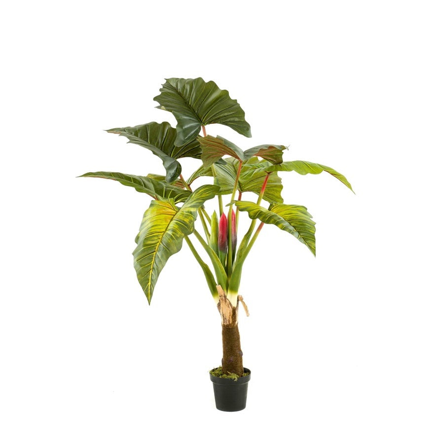 Colocasia op stam 160cm