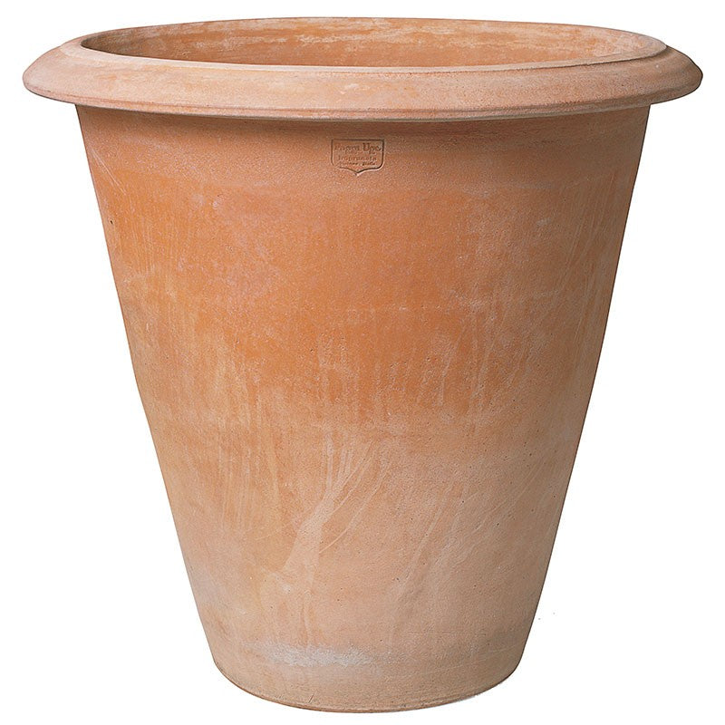 Pejrone pot, terra