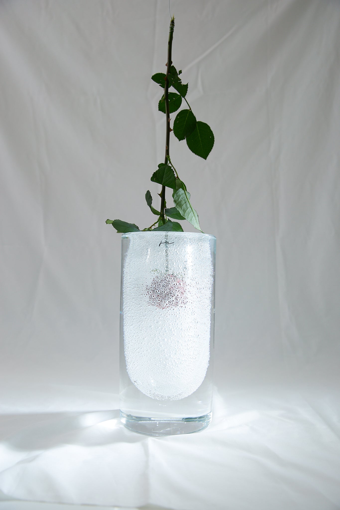 Louis Vase (Clear Bubble)