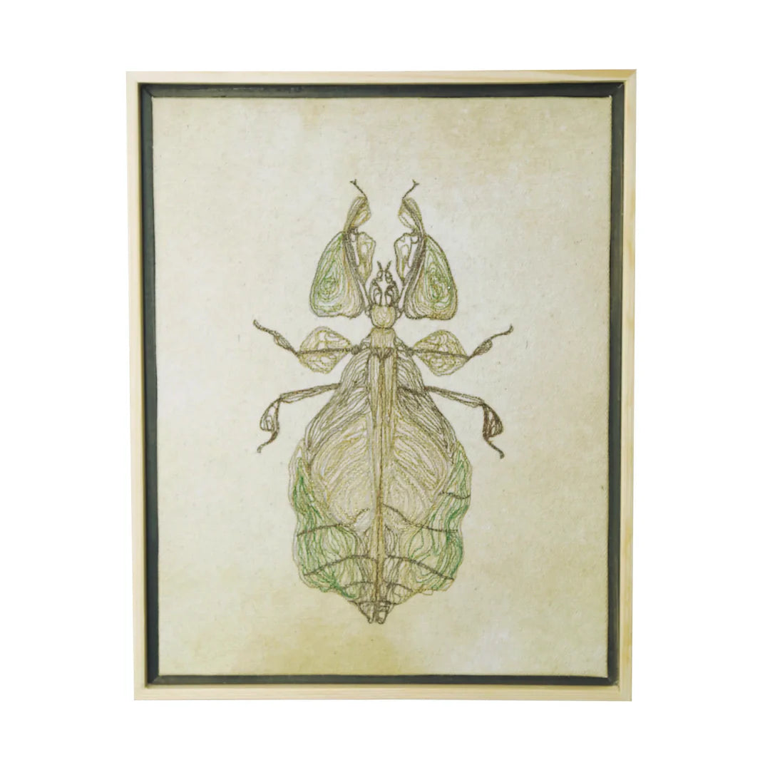 Giant Leaf Insect Thread Art