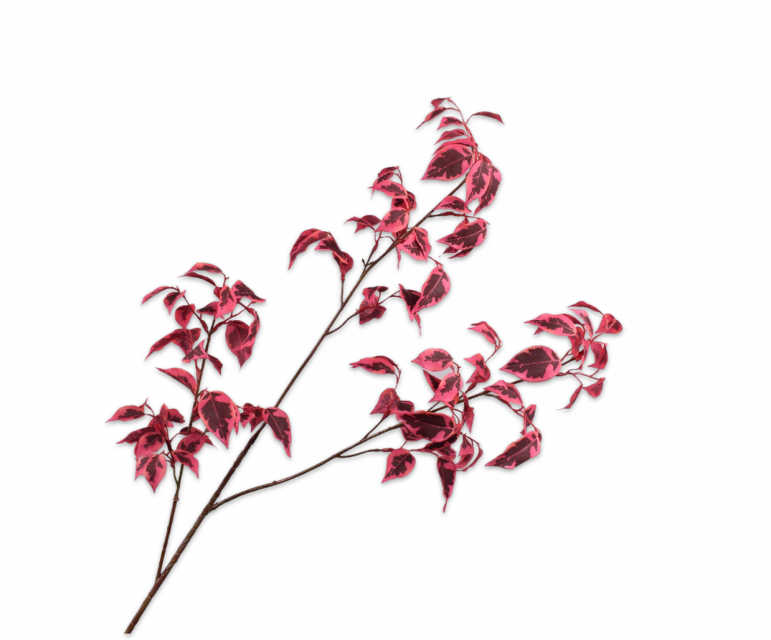 Artificial bladtak ficus rood