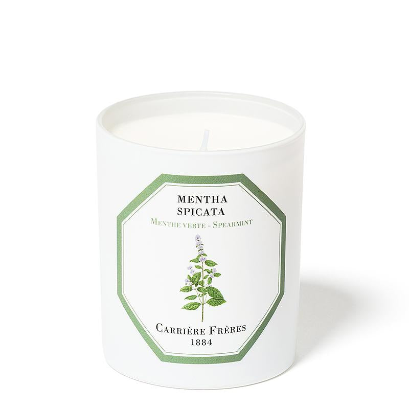 Mentha Spicata Candle (Spearmint)
