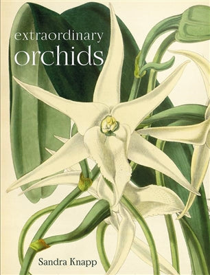 Extraordinary orchids -  Sandra Knapp