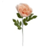 Papieren roos roze 53cm