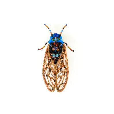 Broche Cicada